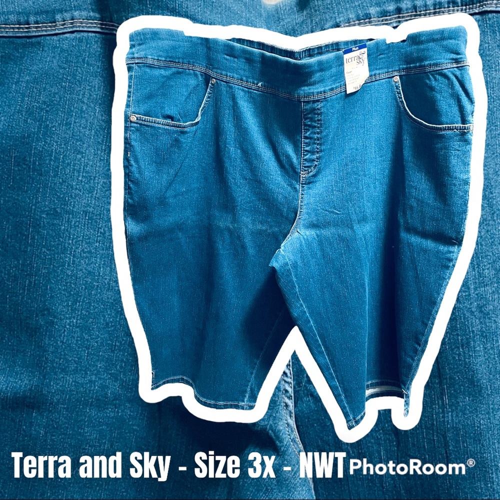 Terra and Sky Pull On Capri Pant